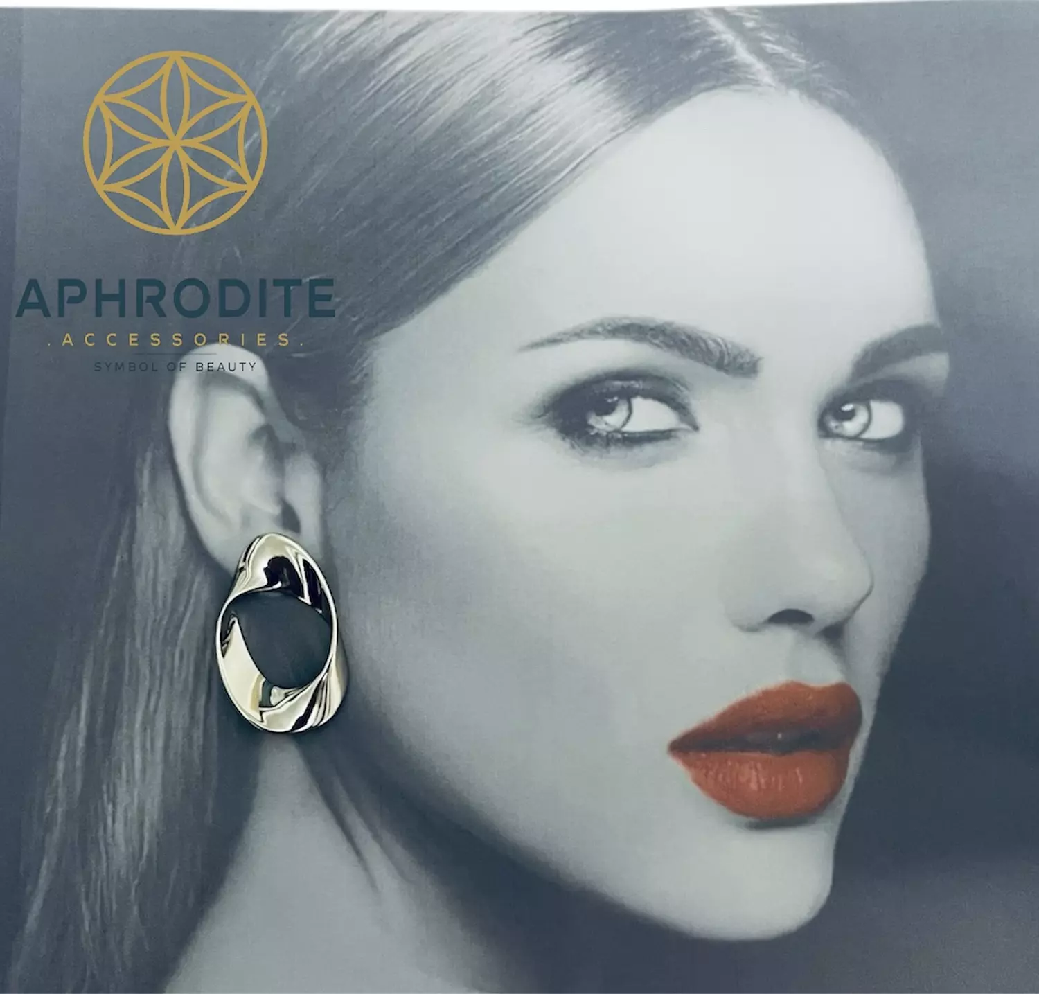 Silver Earrings  image