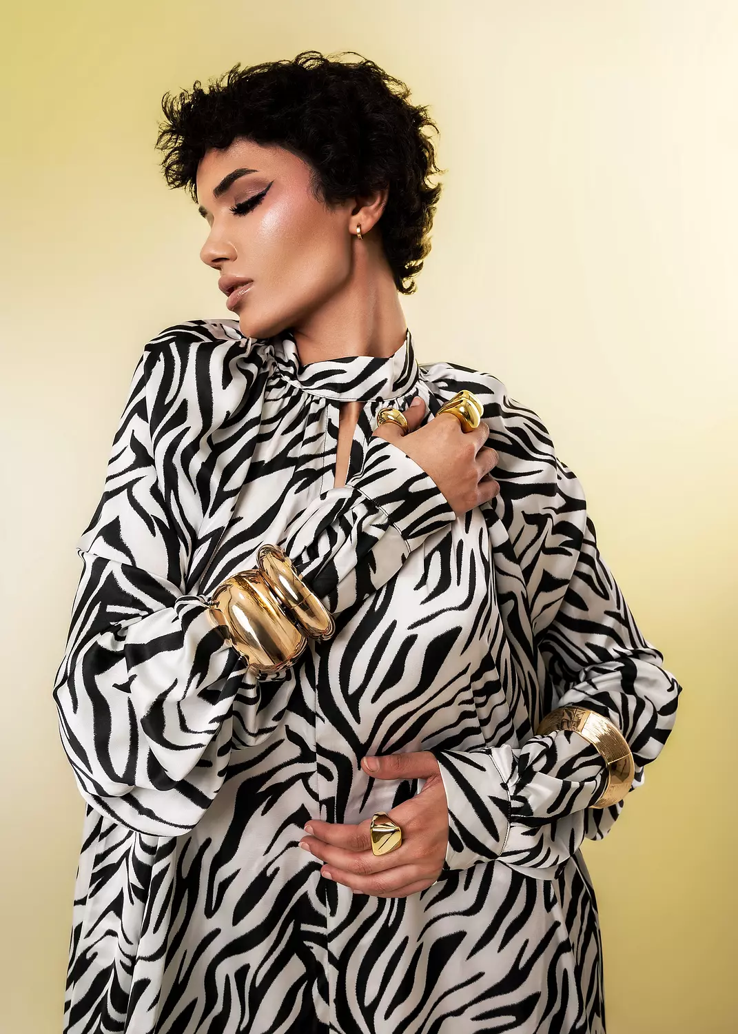 Zebra Satin Dress  image