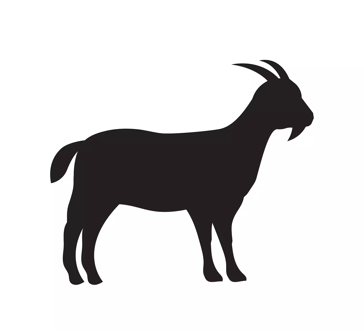 Bucks – جديان image