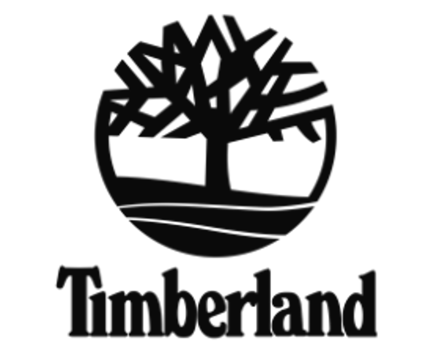 <p style="text-align: start"></p>