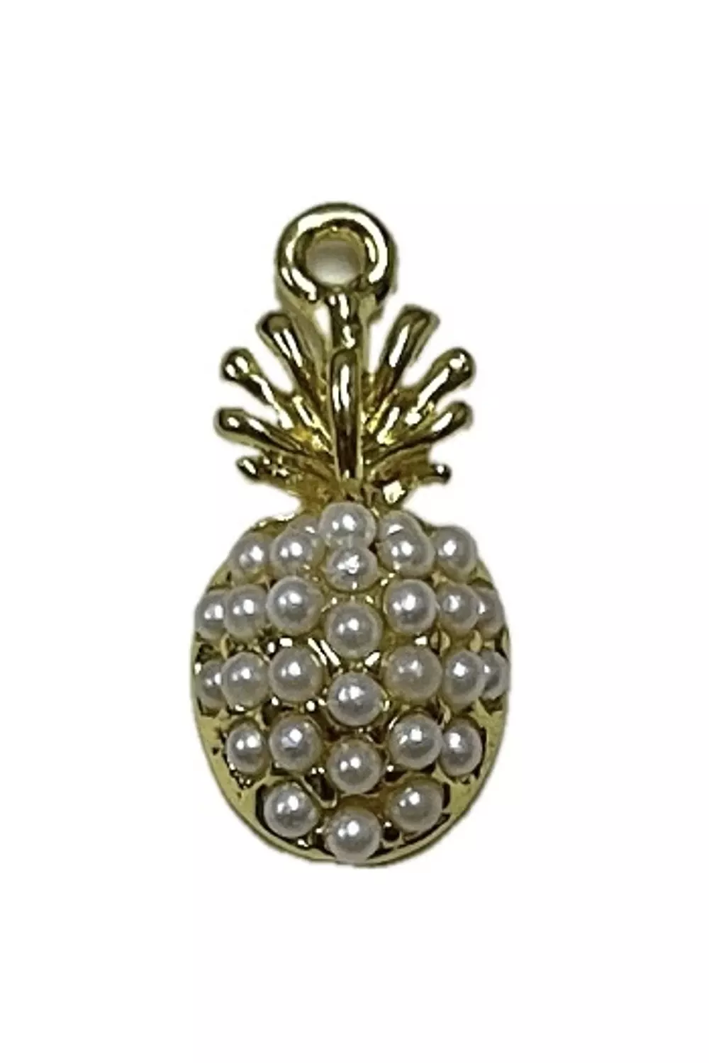 🍍 charm image