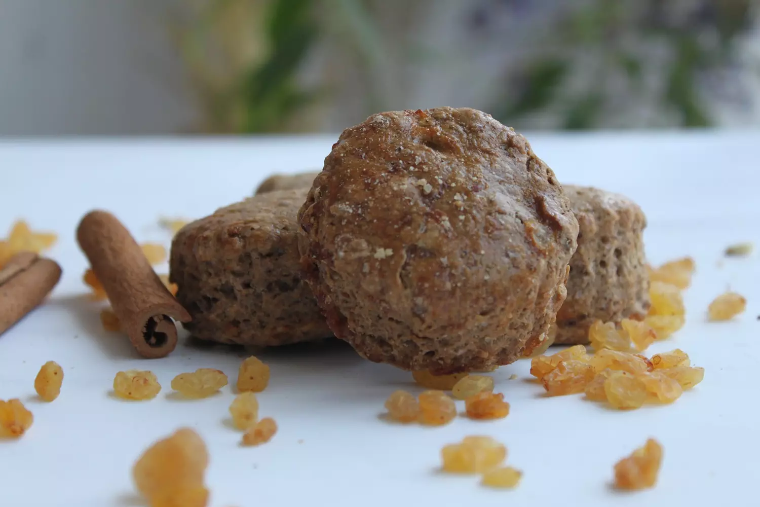 Cinnamon Raisin Tea Scones 8