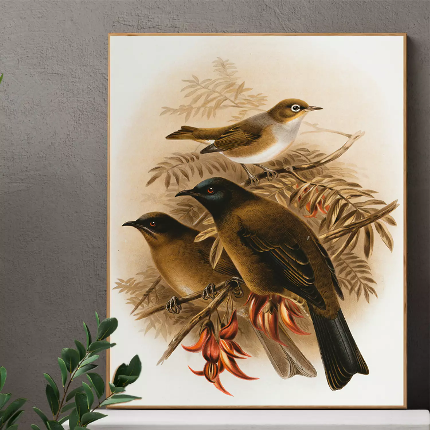 birds