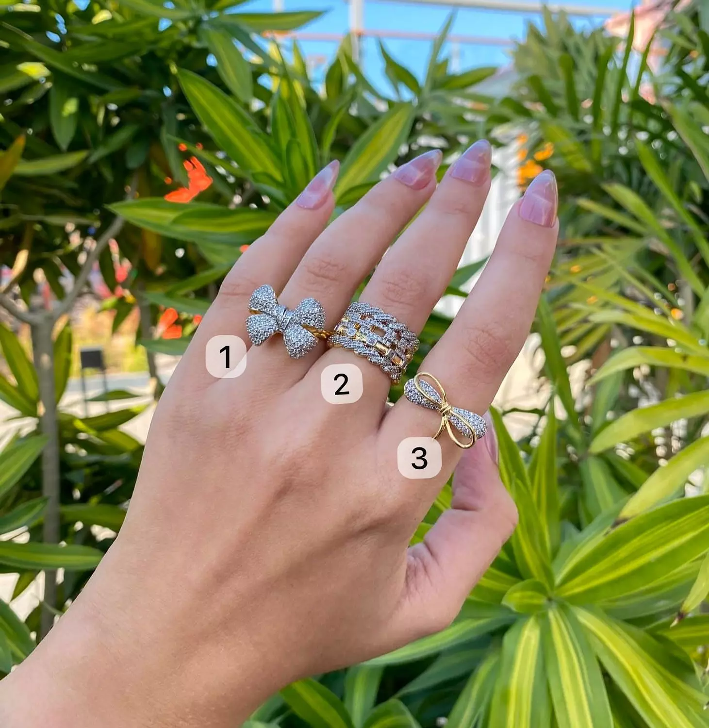 Fiunka rings 1