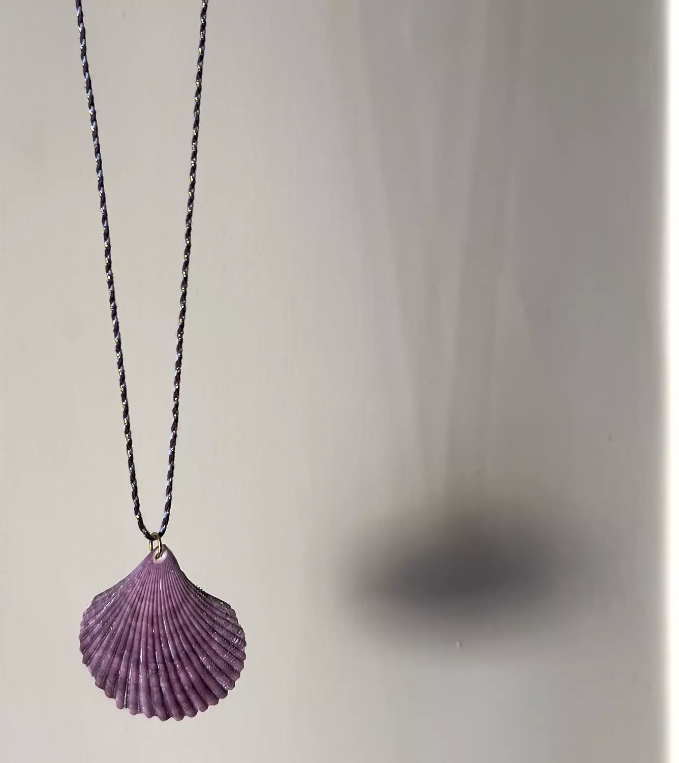 Viola Shell  hover image