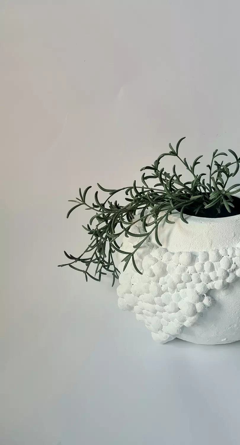 Pebble Pot 3