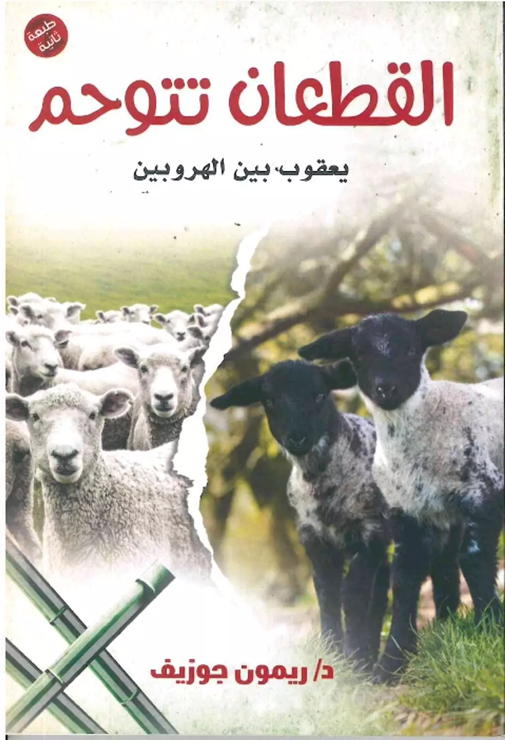 القطعان تتوحم  image