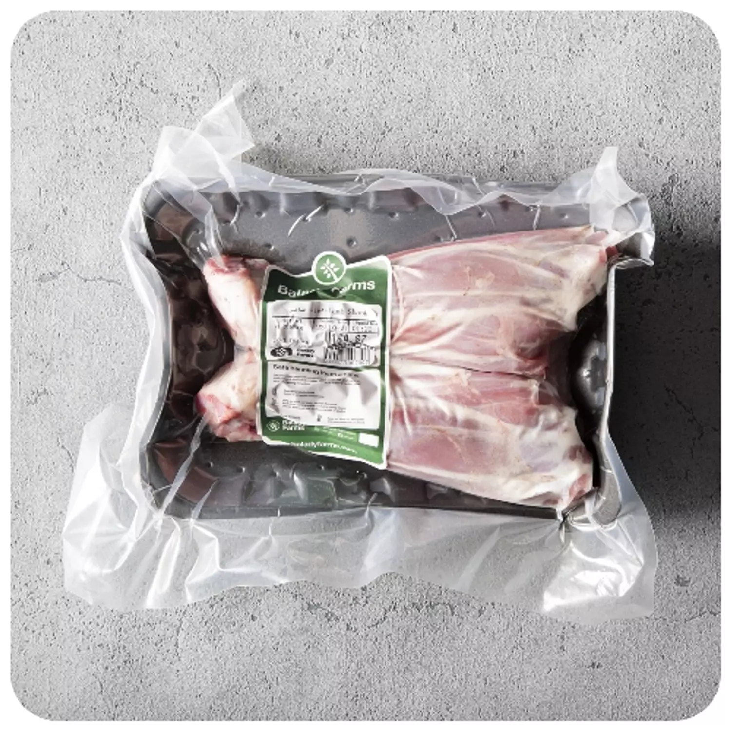 موزة ضاني hover image