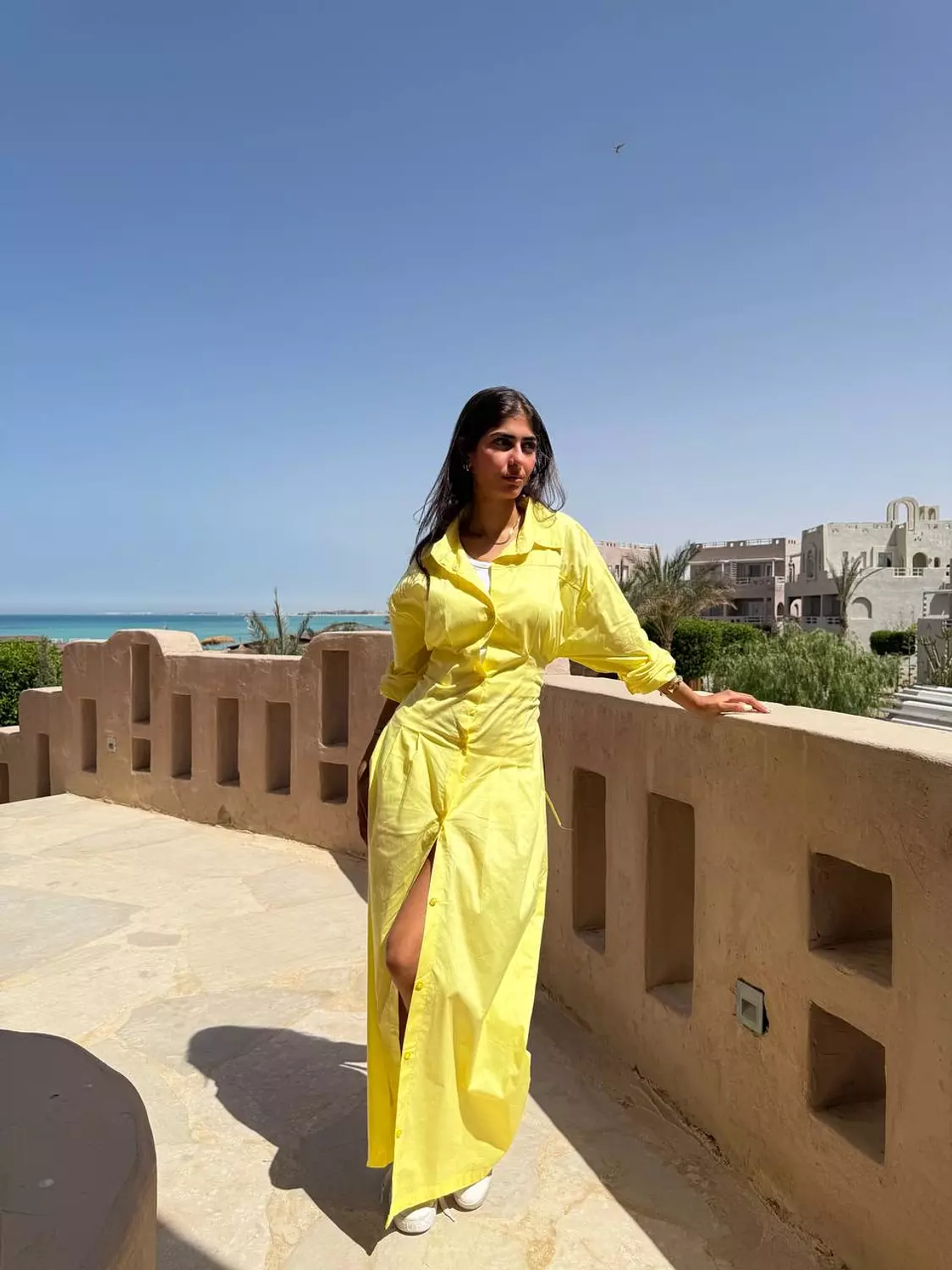 Summer dress  image