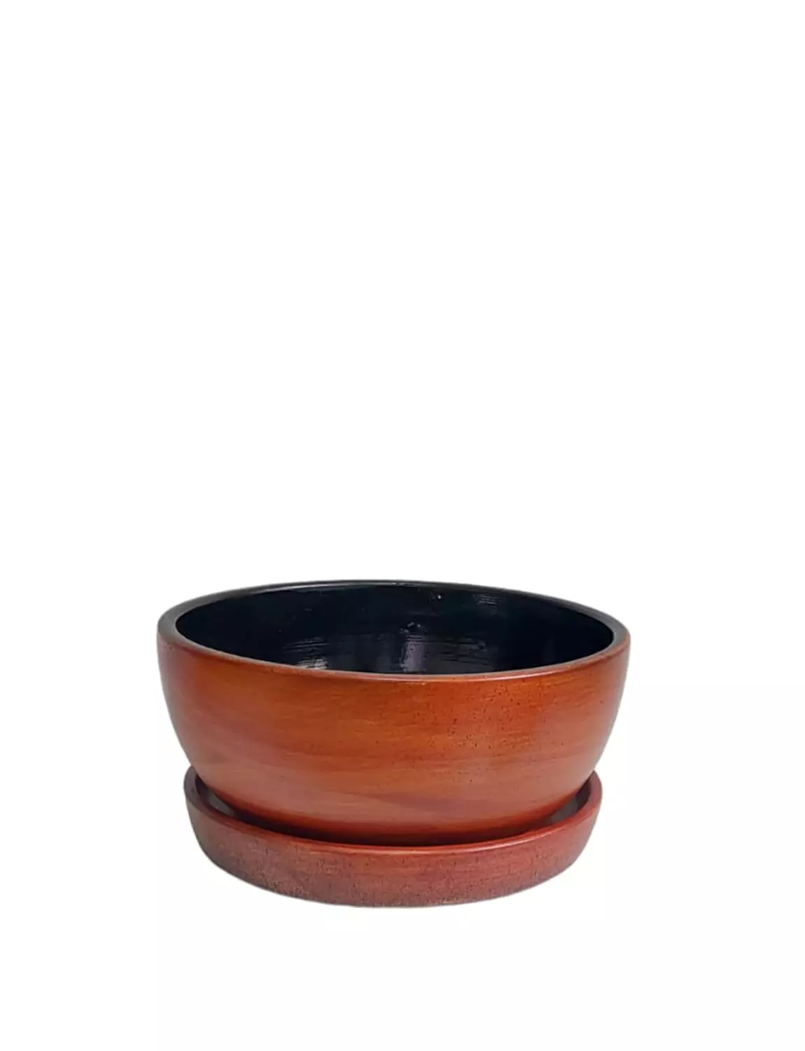 Lady Fern Set 2