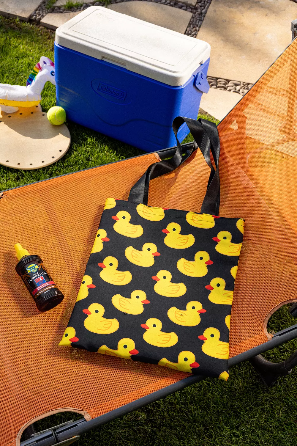Ducks Everywhere hover image