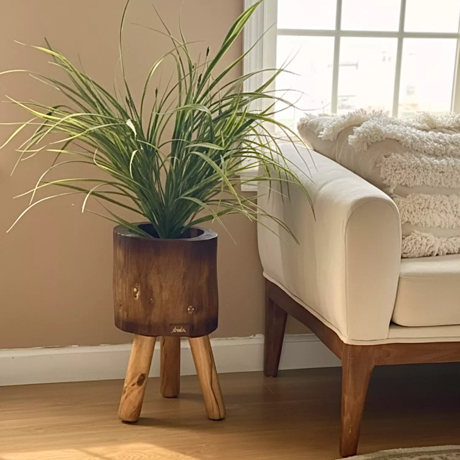 Earthy Elegance Pot image