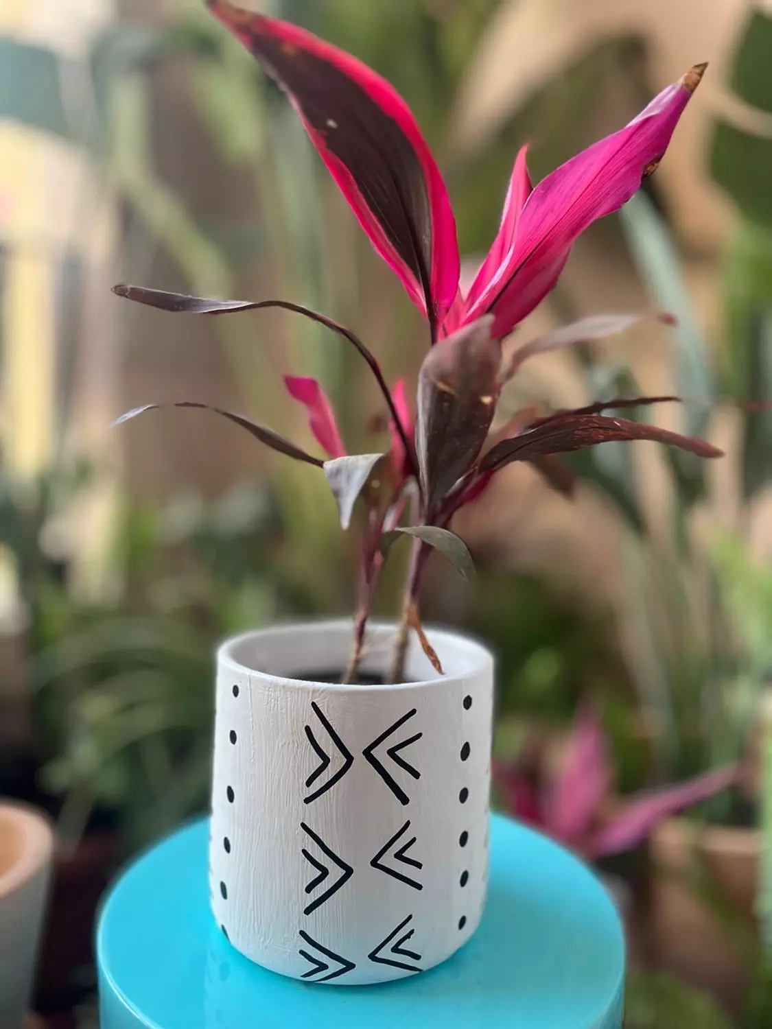 White X Black Pottery Plant Pot Size 16  image