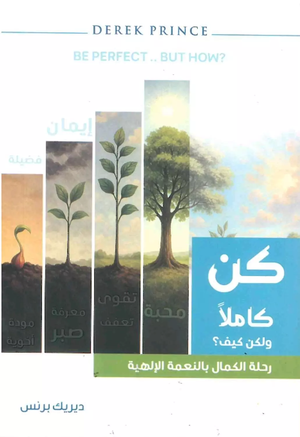 كن كاملا ولكن كيف image