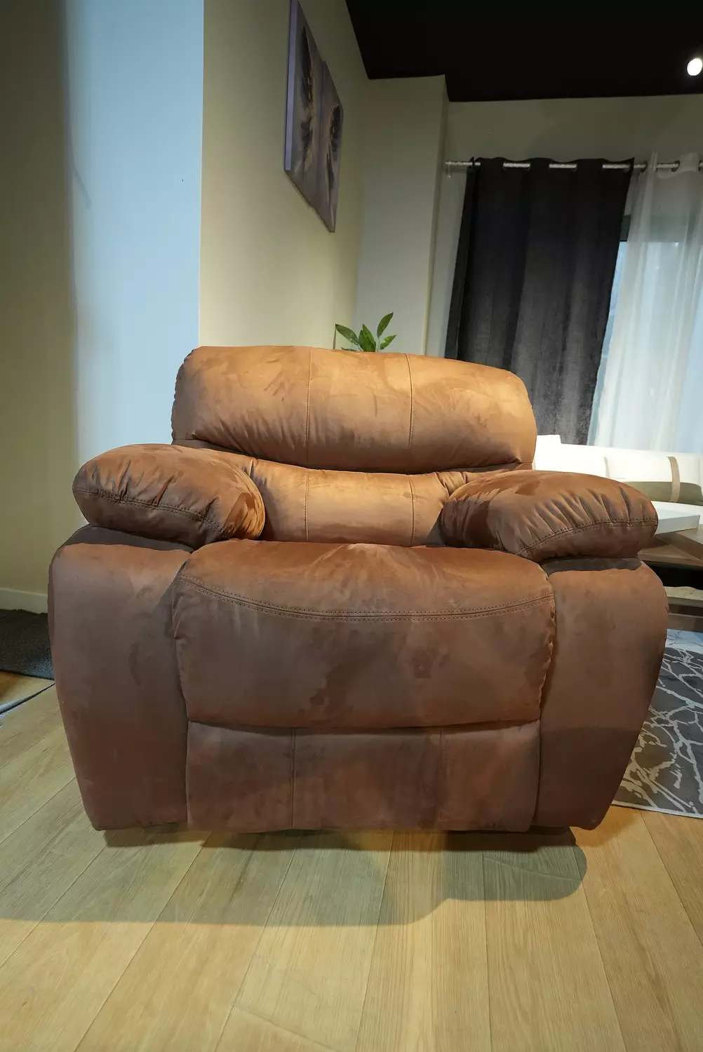lazy boy  image
