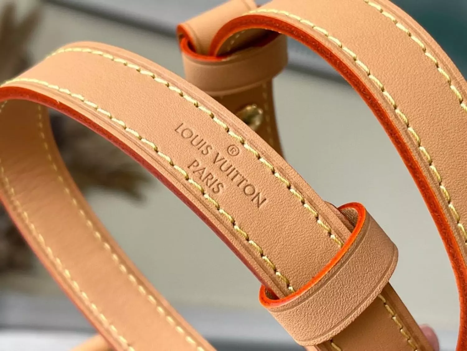 Louis vuitton loop bags  6