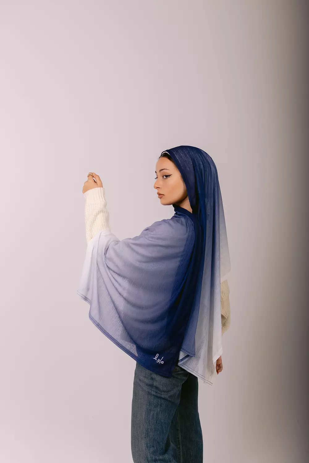 NAVY & WHITE  image