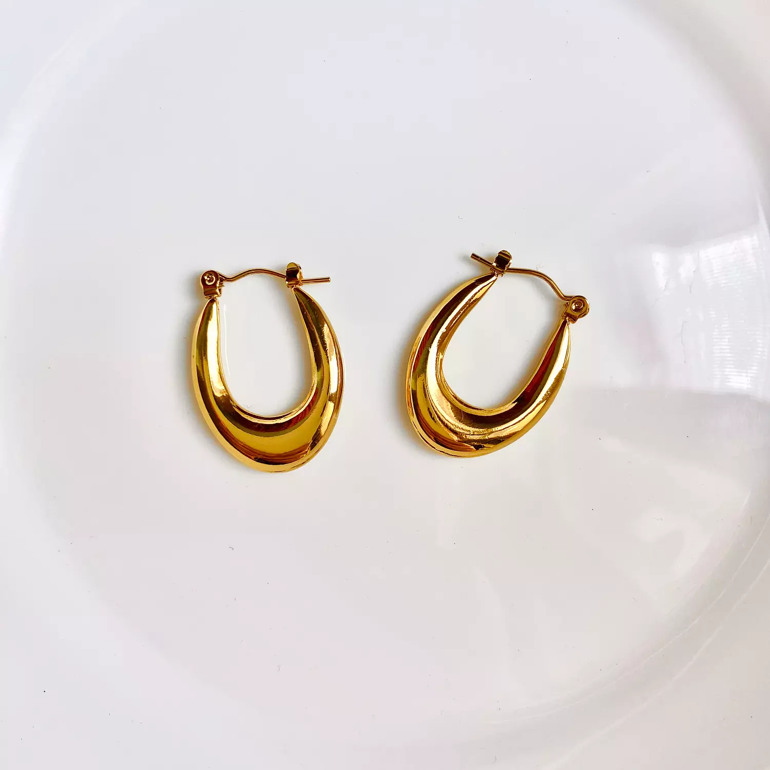 Aurum Curve Stainless steel earrings ✨ 1
