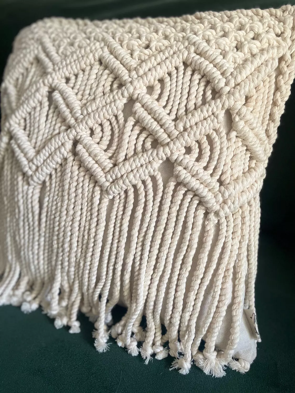 Wings Cotton Macrame Cushion      1