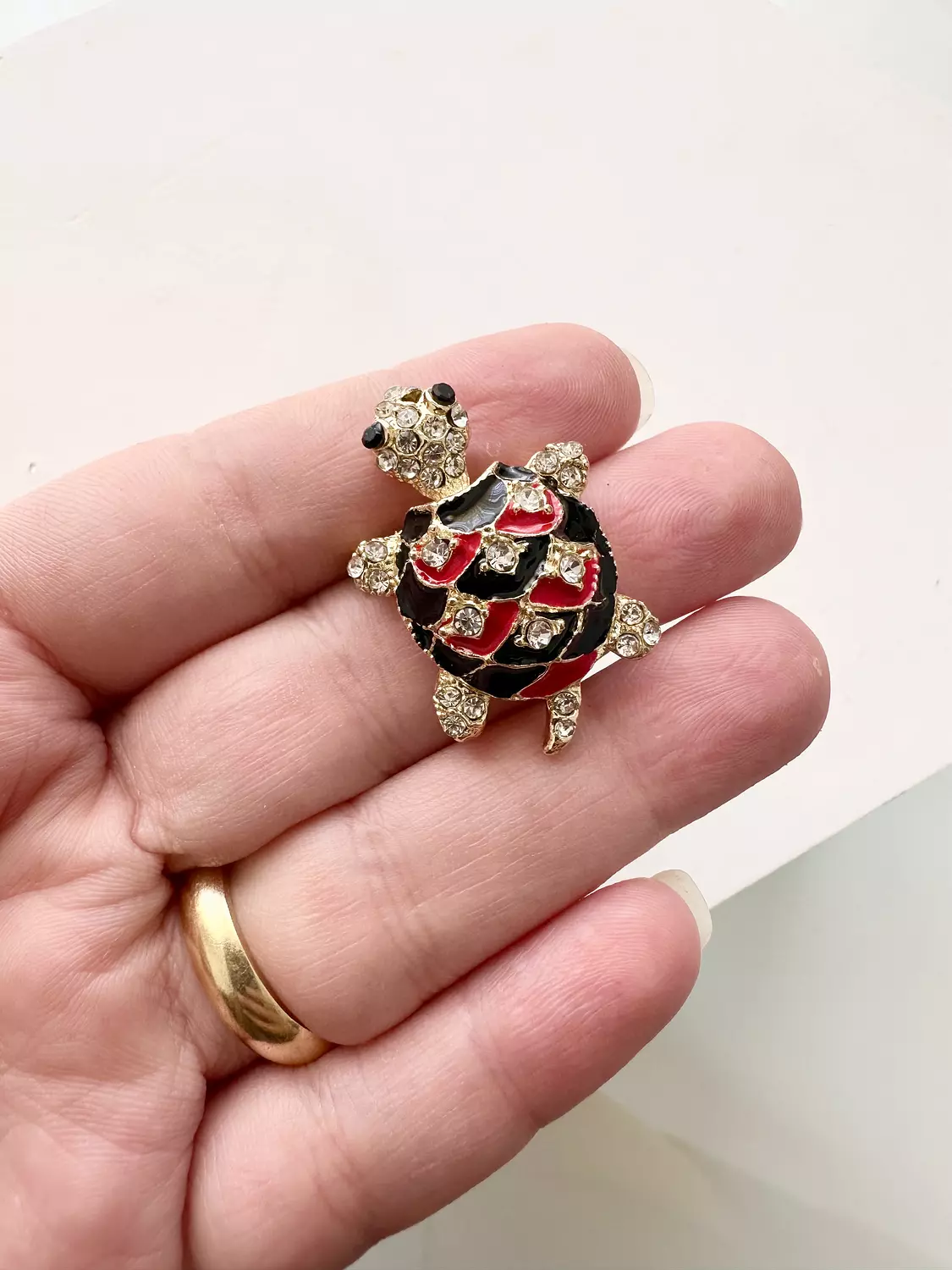 S turtle  image