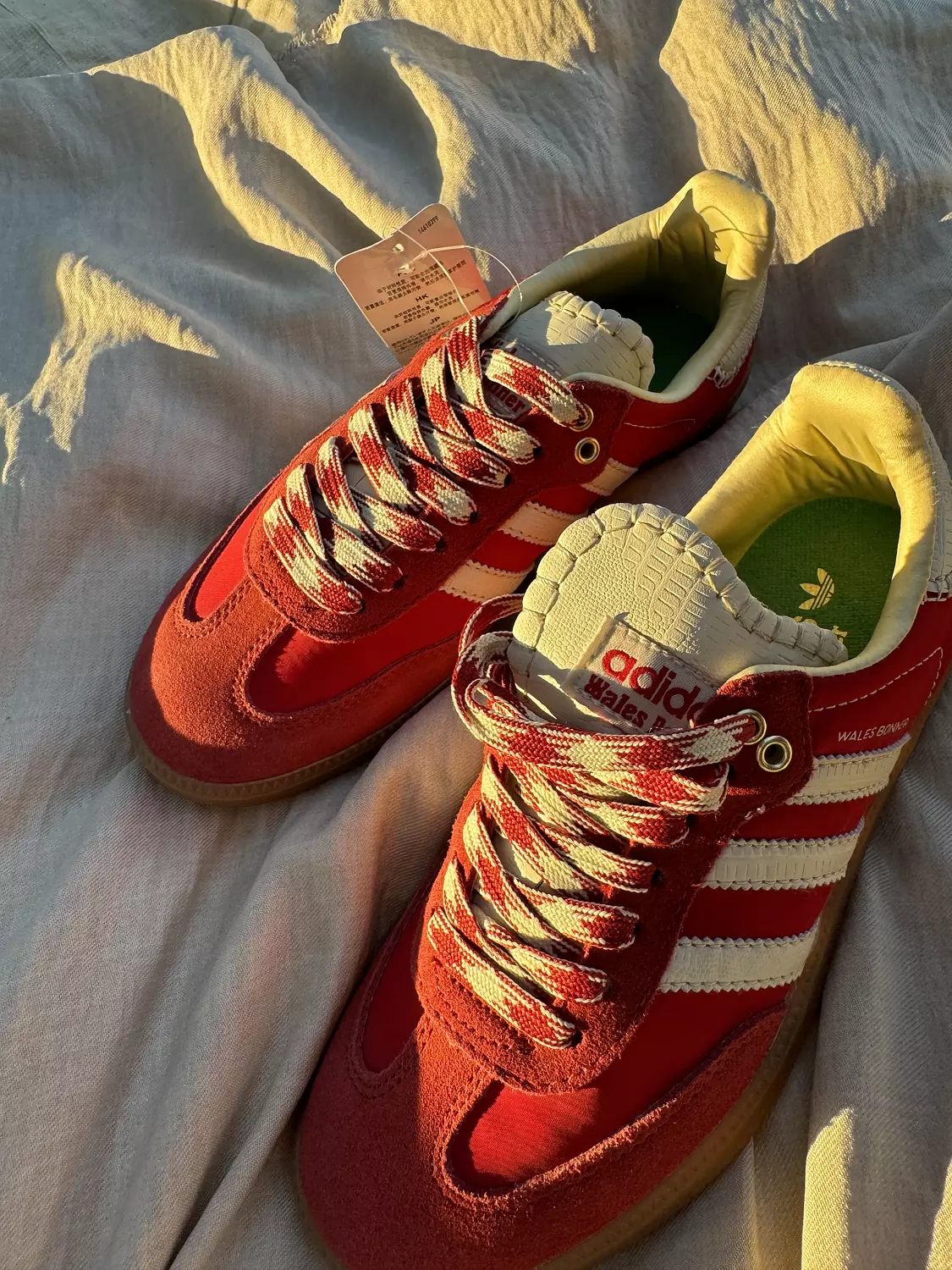 Adidas samba og wales boner  2
