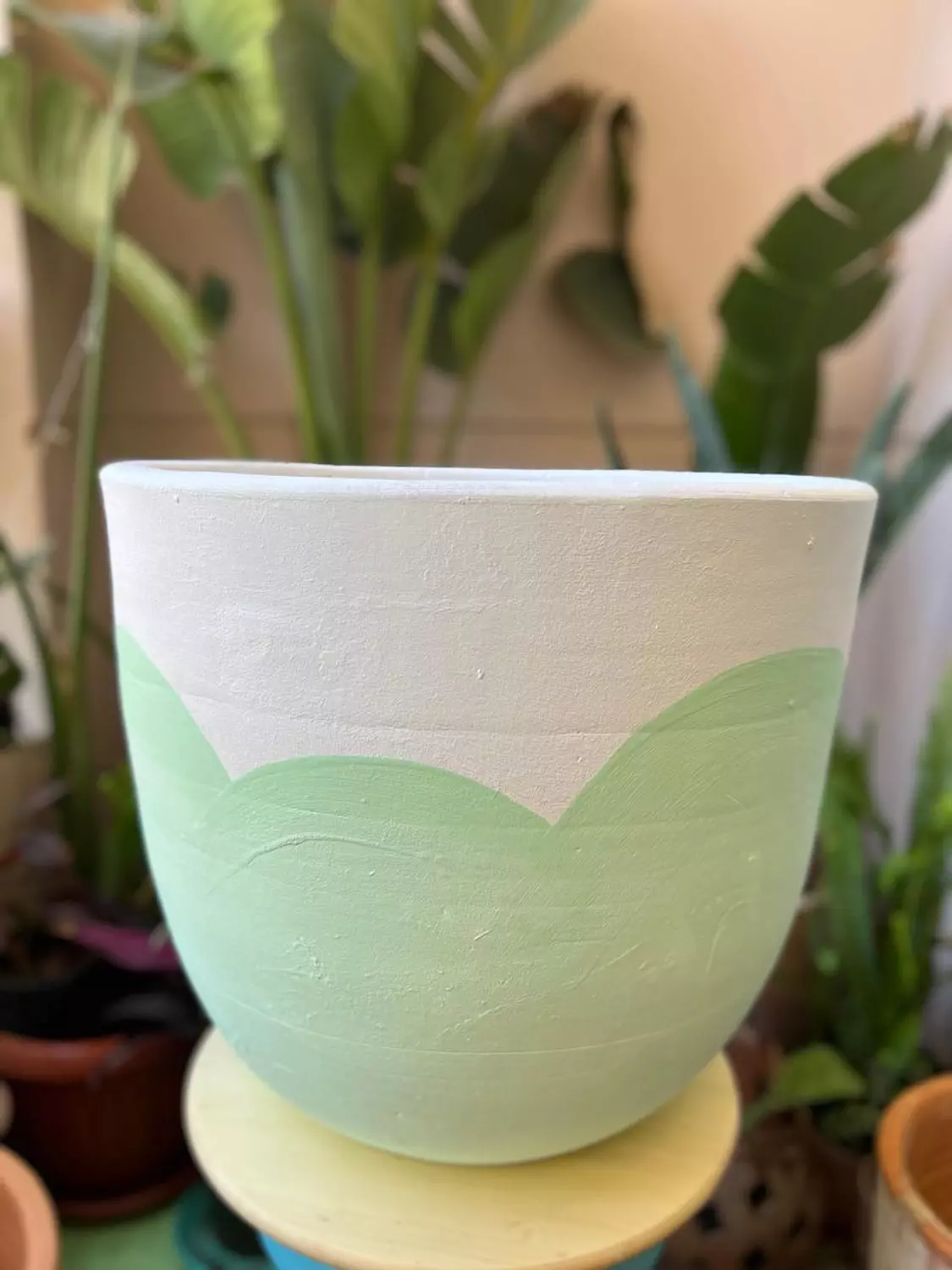 Mint Green X White Pottery Plant pot Size  image