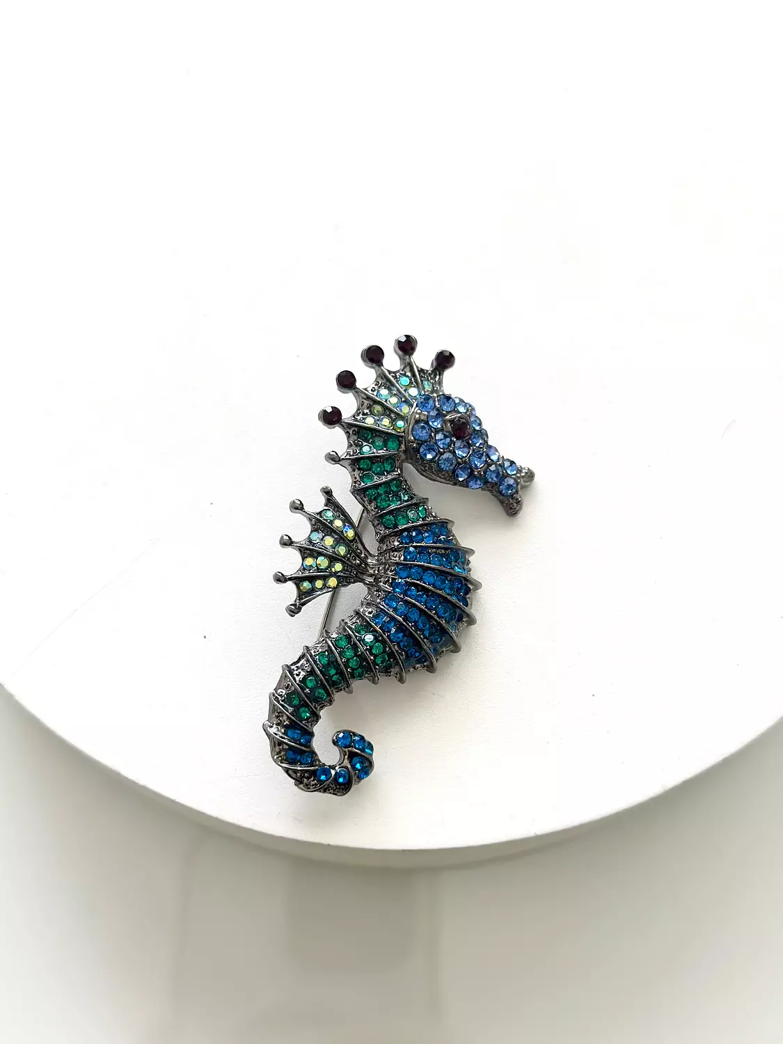 Sea horse  image