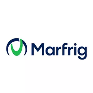 <p style="text-align: start"></p>