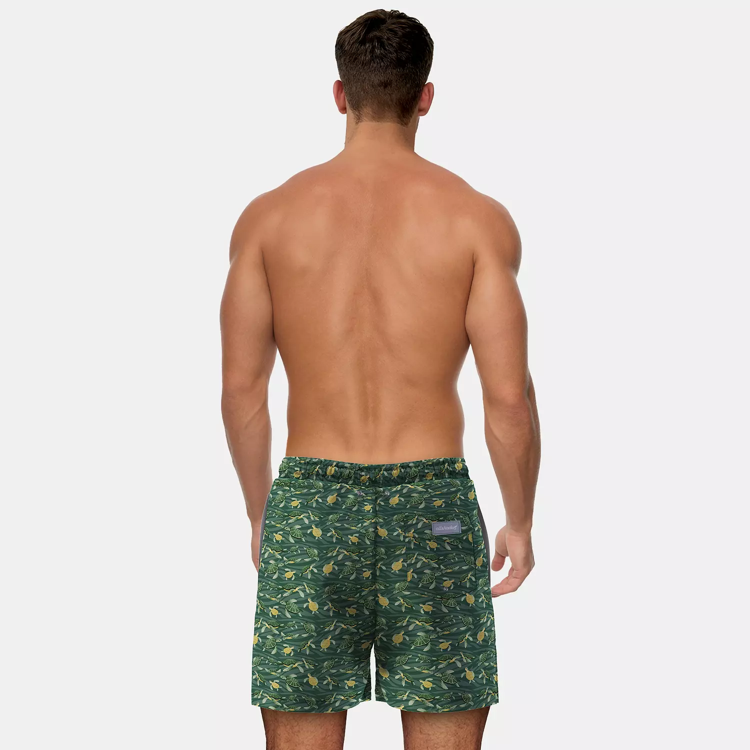 Turtles Bay 11