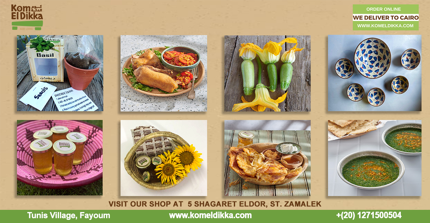 banner image for Kom El Dikka Agri Lodge