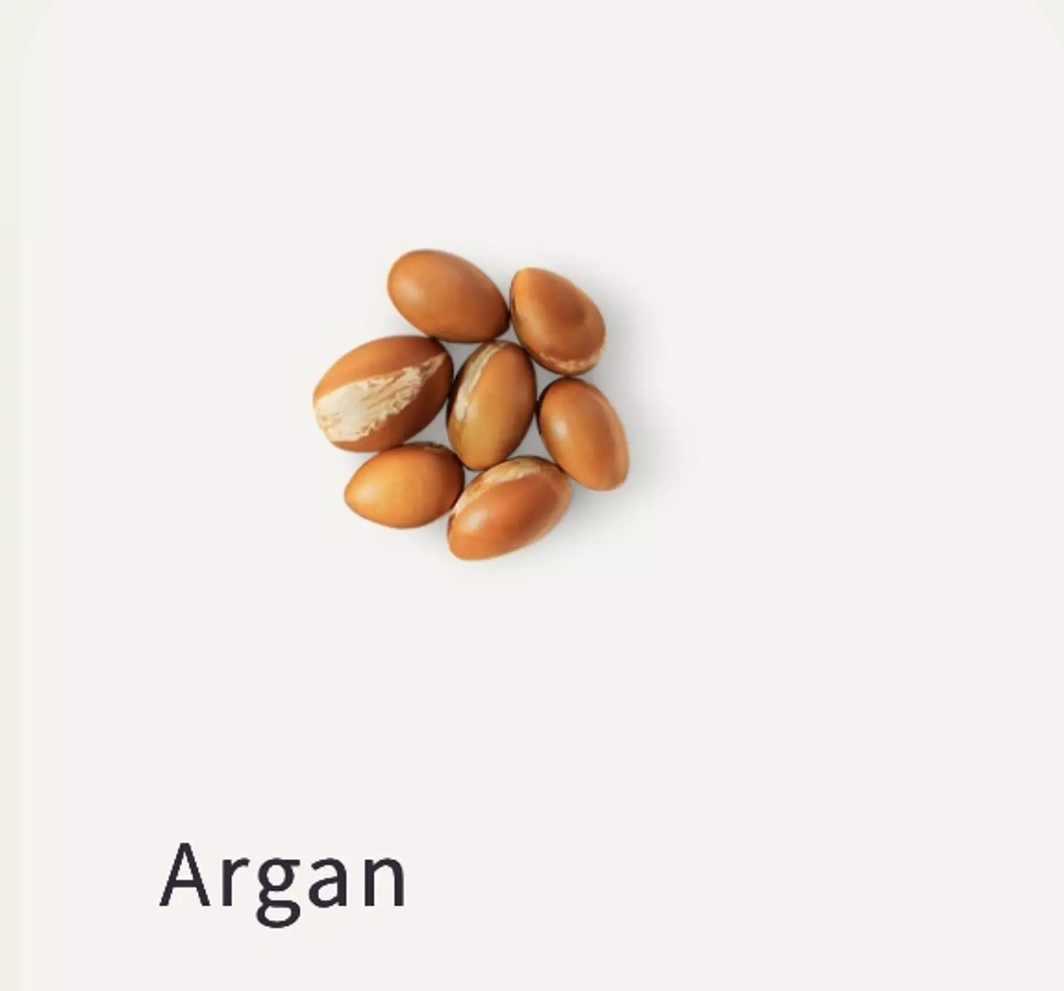 Nutshell Body Gel Oil - Argan & Pomegranate  1