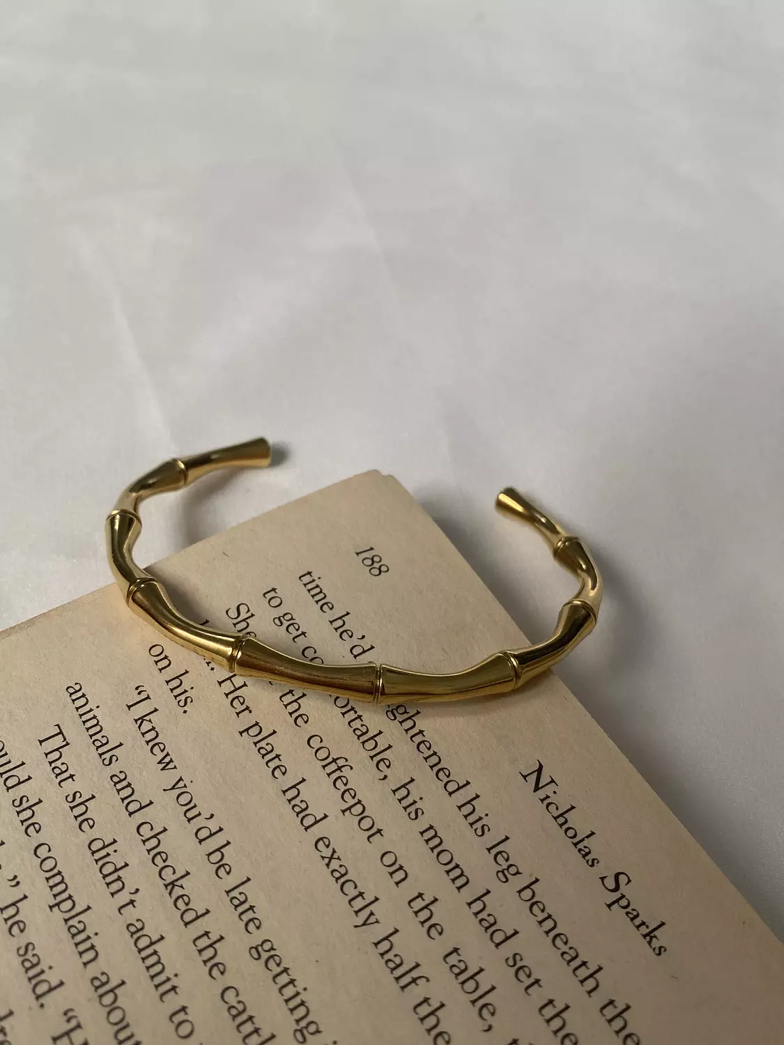Bone Bangle image