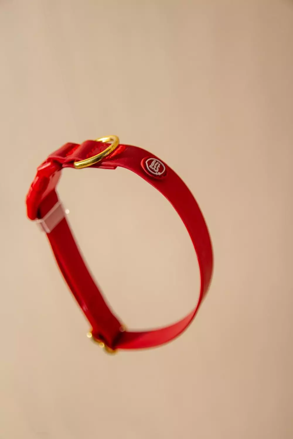 Essential Dog Collar 4
