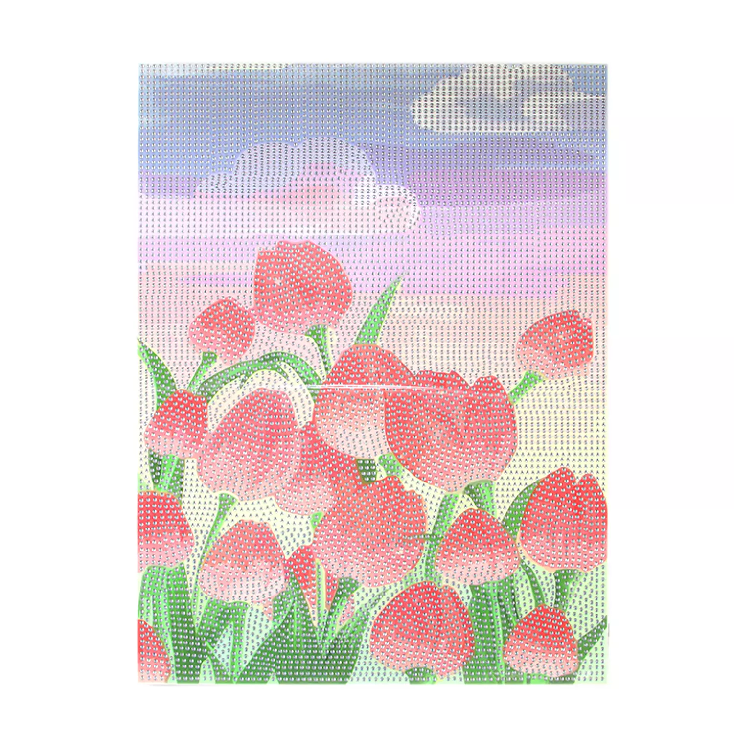 Diamond painting frame with tools 30*40cm 2