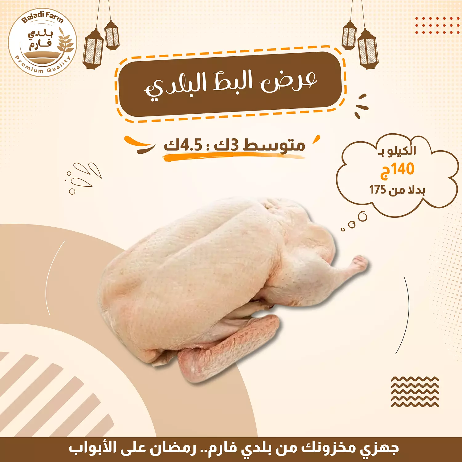 بط بلدي  image