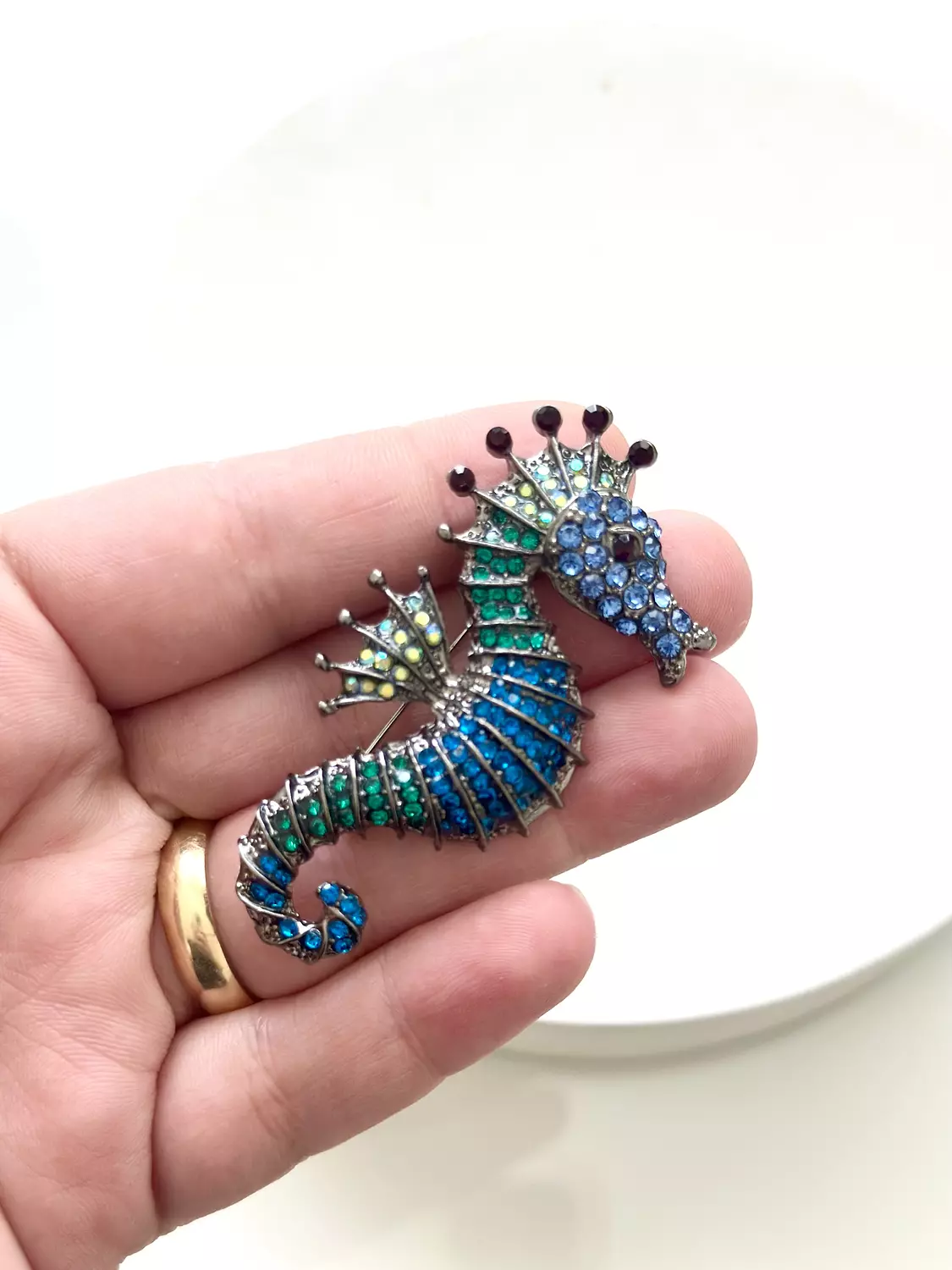 Sea horse  1