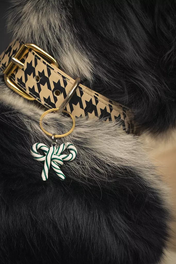 Peppermint Bow Collar Tag