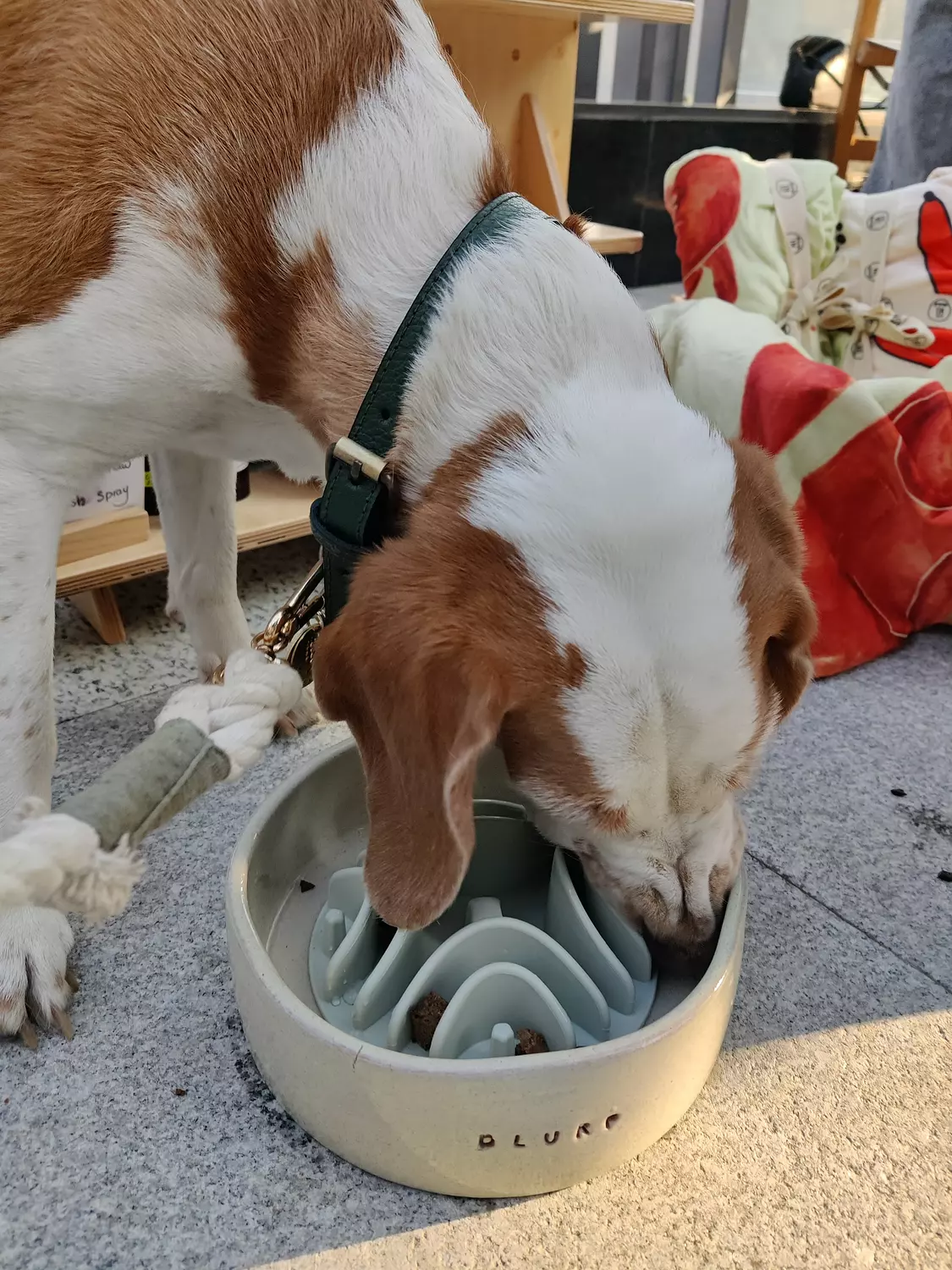 Slow Feeder Insert 3