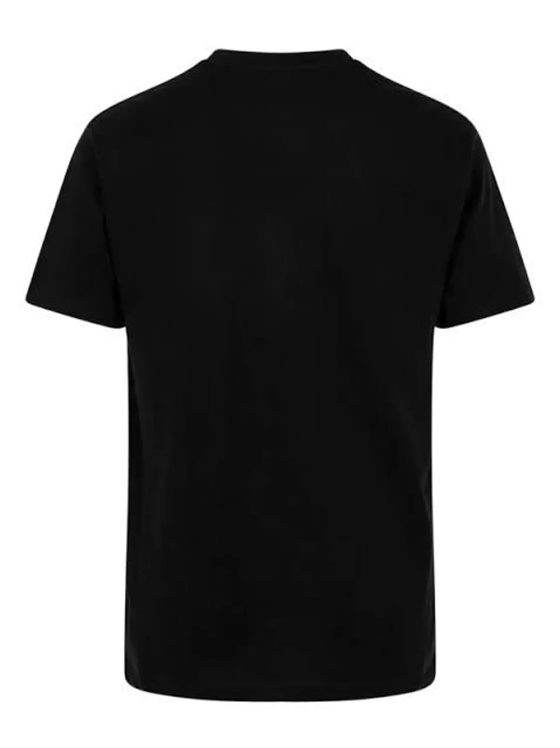 <h4>Unisex T-shirts</h4>