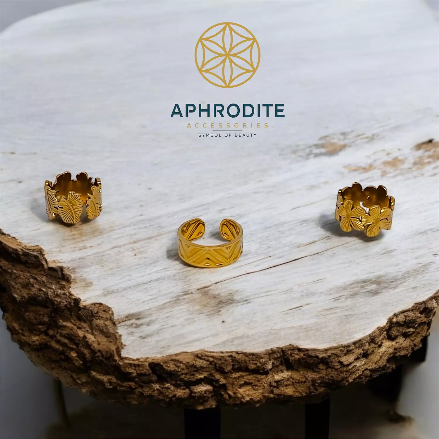 <p><strong><span style="color: #103944">Roman Rings</span></strong></p>