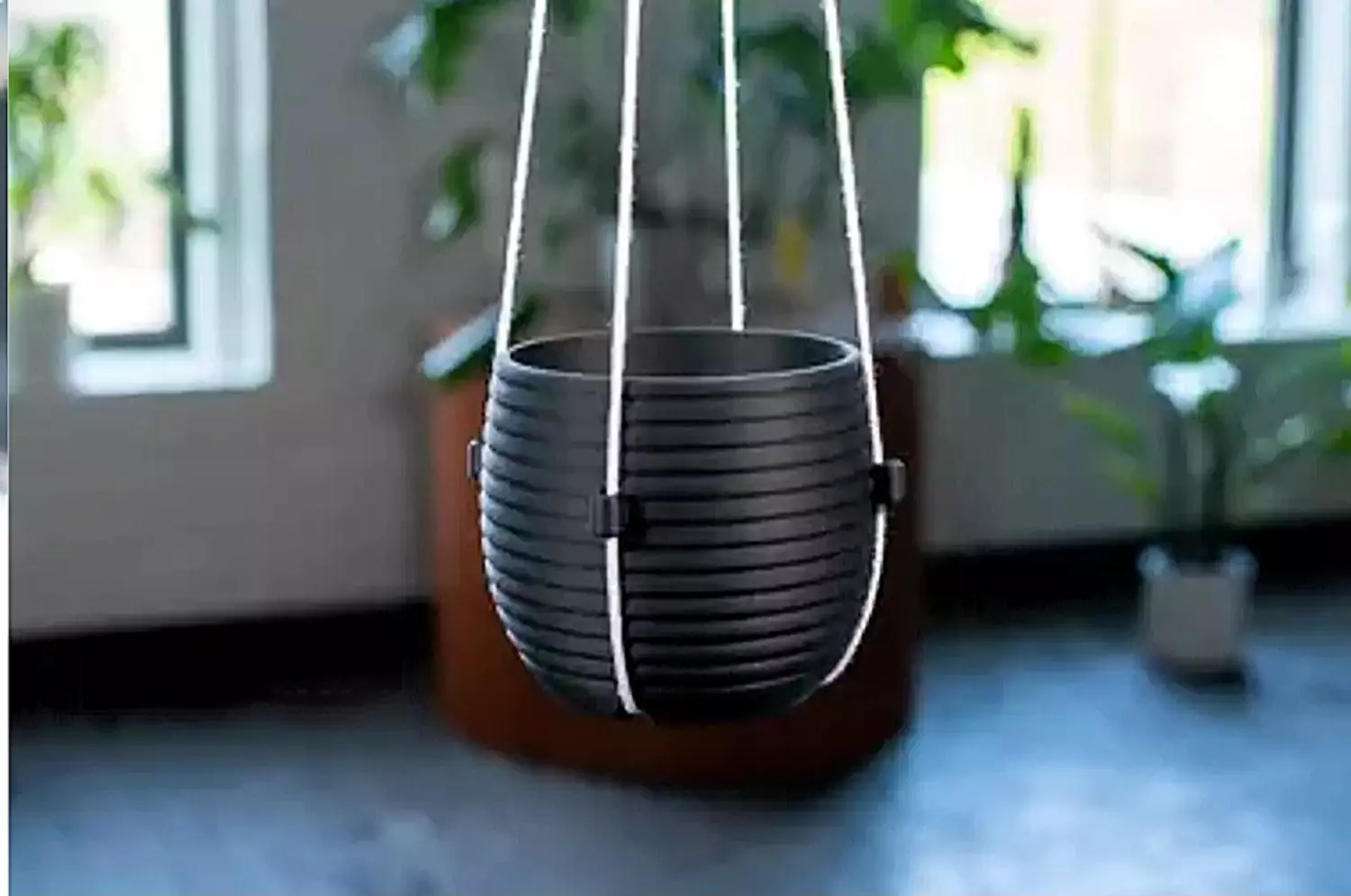 The Hive By Pots  image