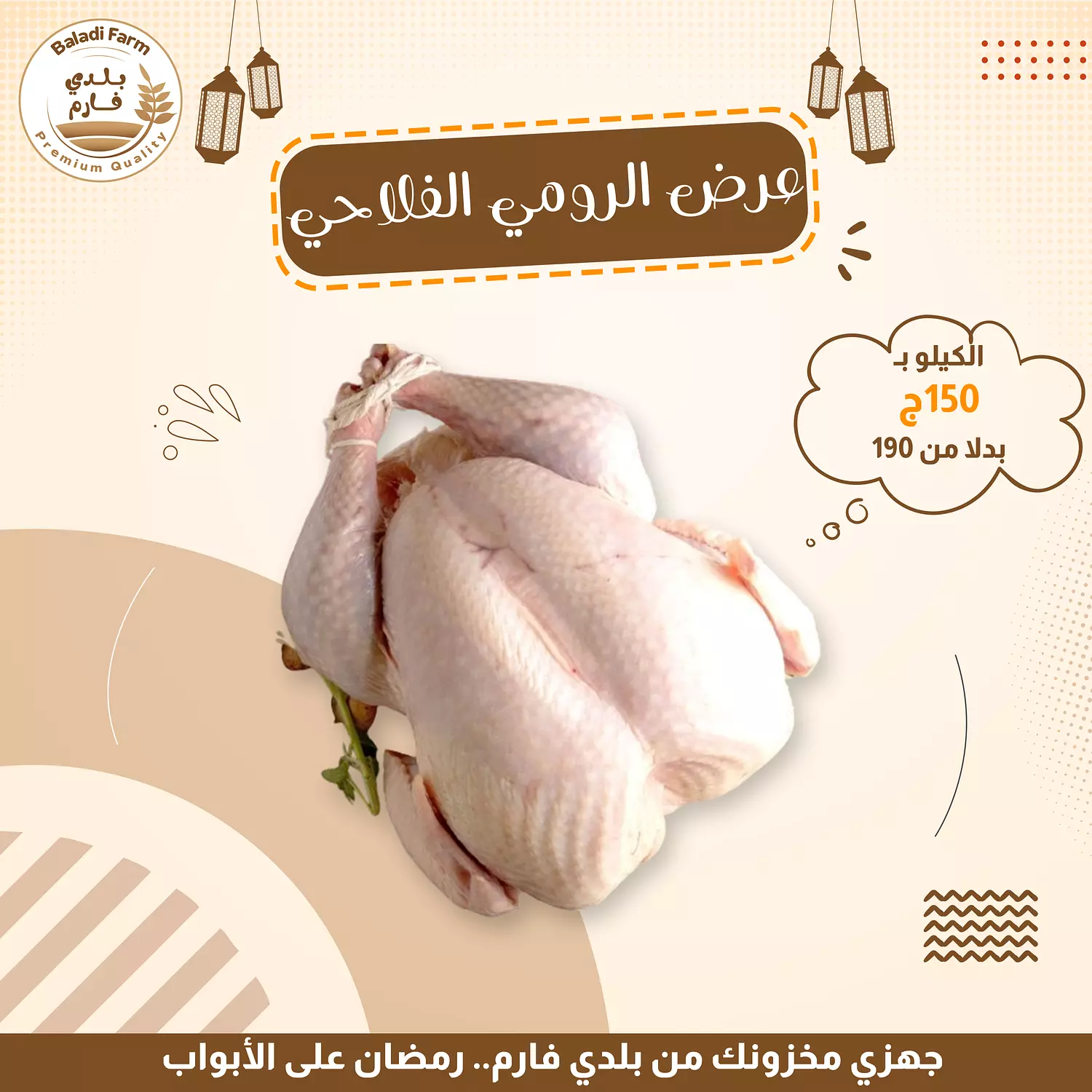 ديك رومي بلدي image