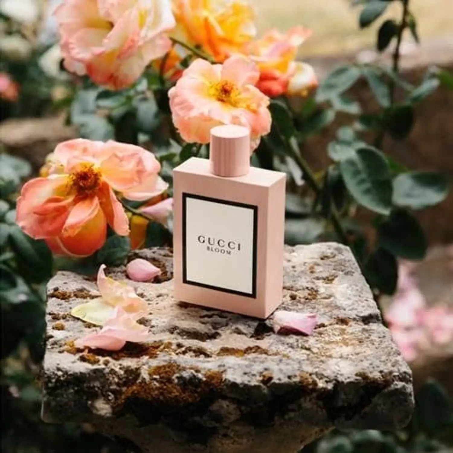 Gucci bloom image