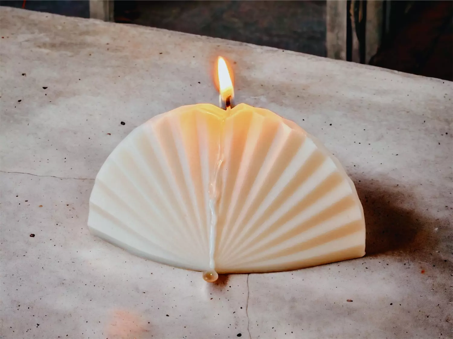 Coral Fan 1