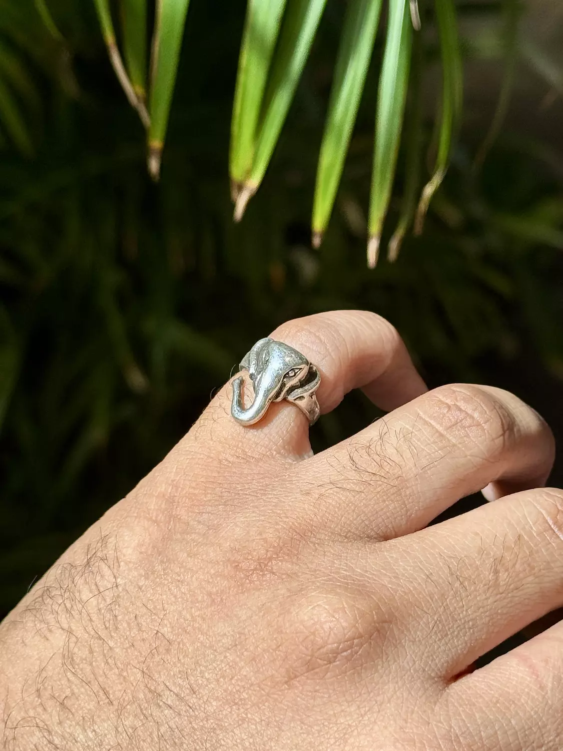 Eleora Ring image