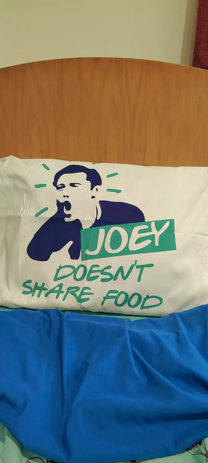 F.R.I.E.N.D.S Joey doesn't share food pillow case   image