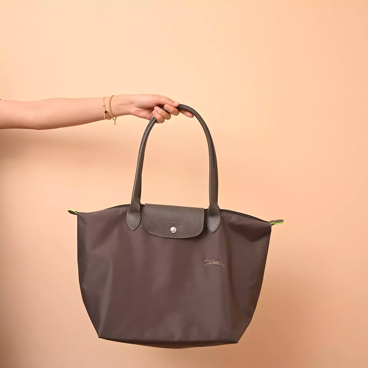 Longchamp Le Pliage Series terra M Long Handle 3