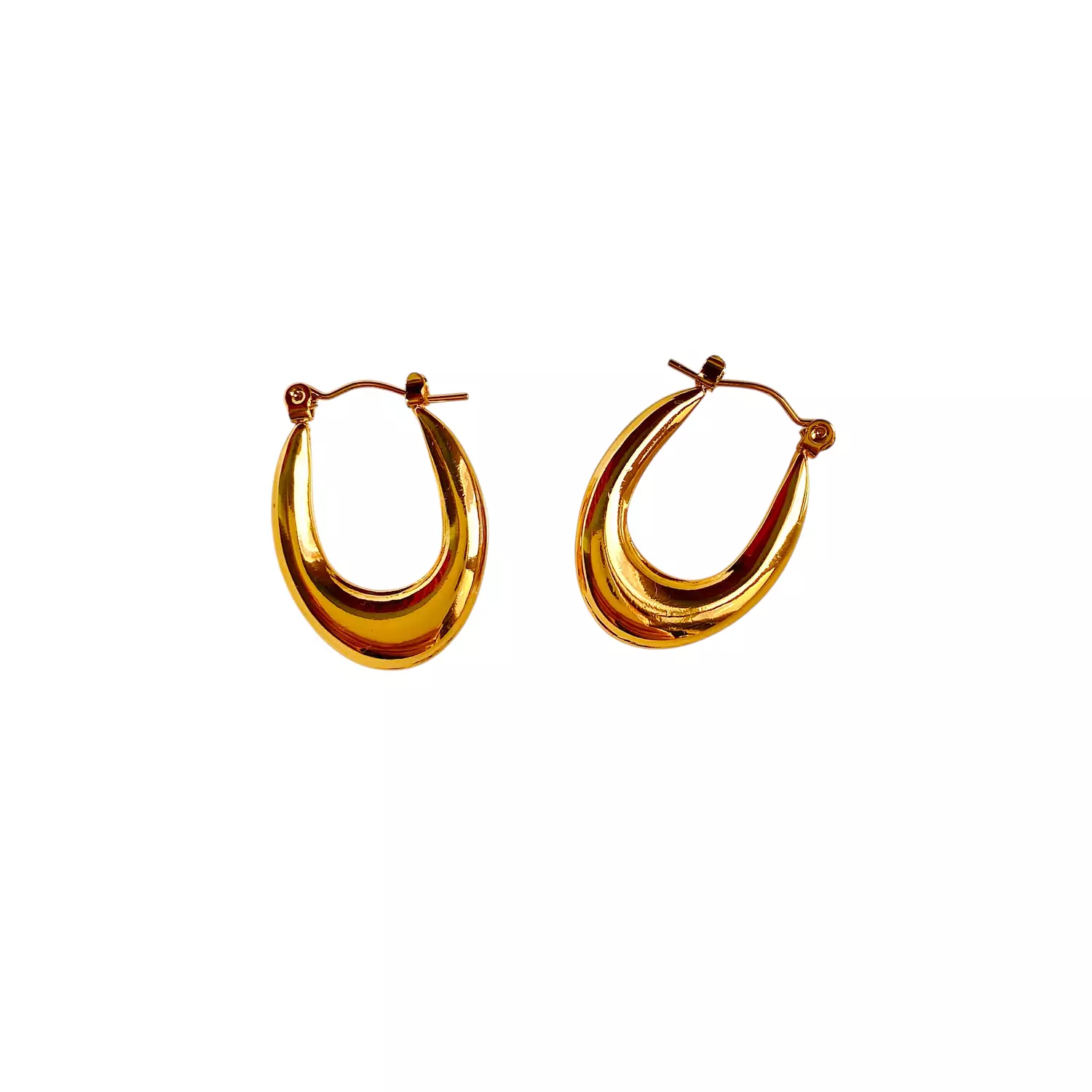 Aurum Curve Stainless steel earrings ✨ 1