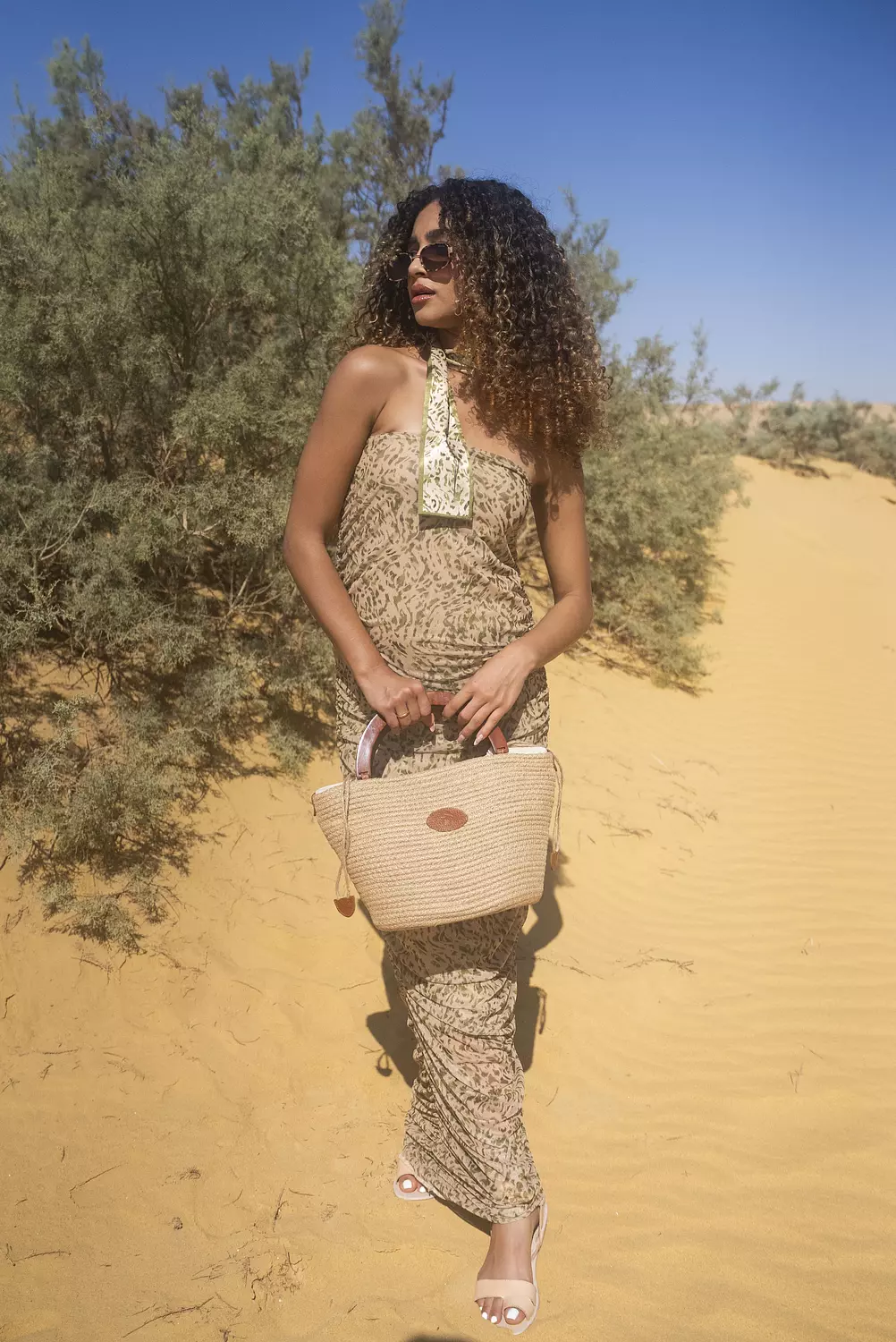 The Passion Collection - Safari Dress  image