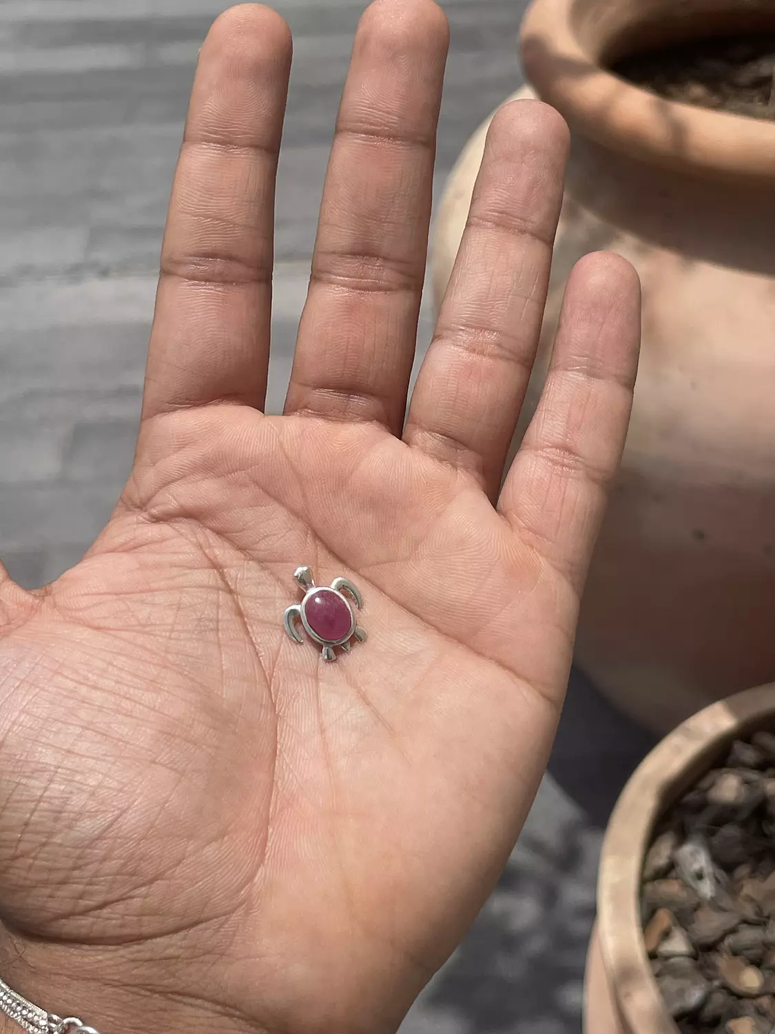 Ruby Mini Turtle  image